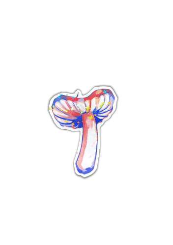 9.png