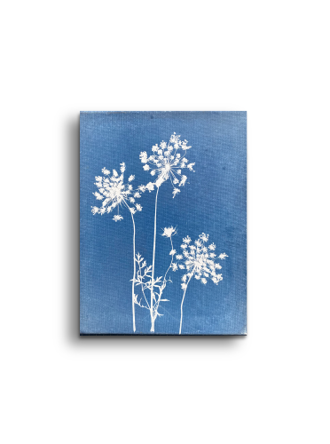 mockup mniejsze plotno.png
