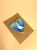 33.png